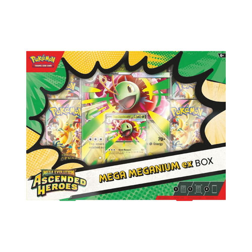 Ascended Heroes Mega Meganium ex Box