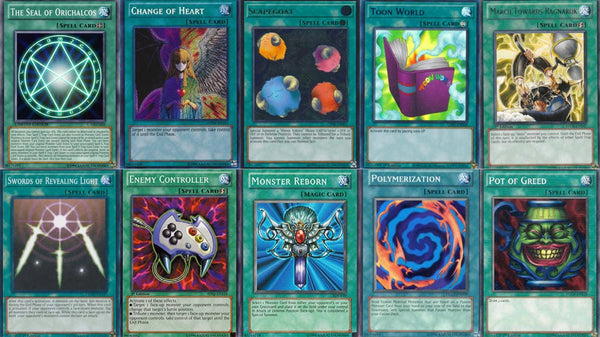 Unleash the Magic